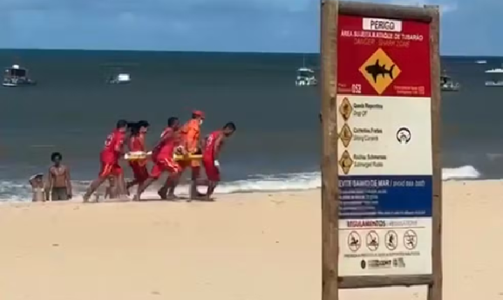 Criança é mordida por tubarão na Praia de Piedade, em Jaboatão dos Guararapes, no Grande Recife