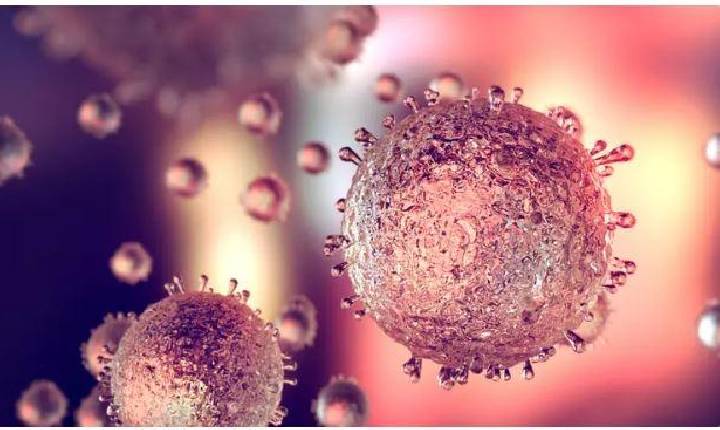 Índia entra em alerta após confirmar cinco casos do vírus letal Nipah; veja riscos