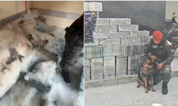 Operação apreende mais de 1 tonelada de cocaína escondida em carga de peixes no Ceará