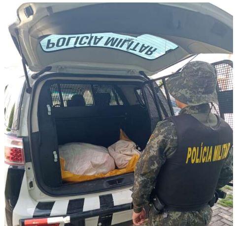 Homem com 77 kg de Curimatã é autuado por pesca ilegal em Reriutaba