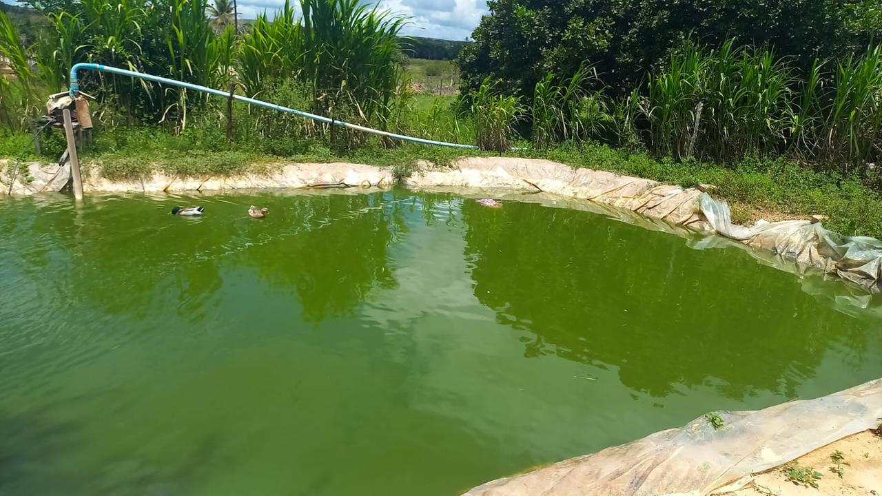 Idosa de 103 anos morre afogada após cair em tanque em Carnaubal, Interior do Ceará