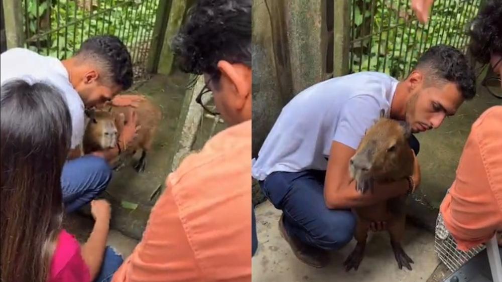 Ibama devolve capivara Filó para Agenor Tupinambá após confronto em centro de triagem