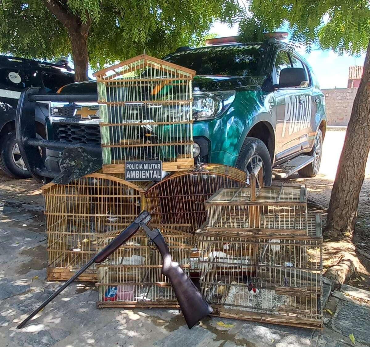BPMA da PMCE realiza prisão e apreende espingarda e aves silvestres no município do Cedro