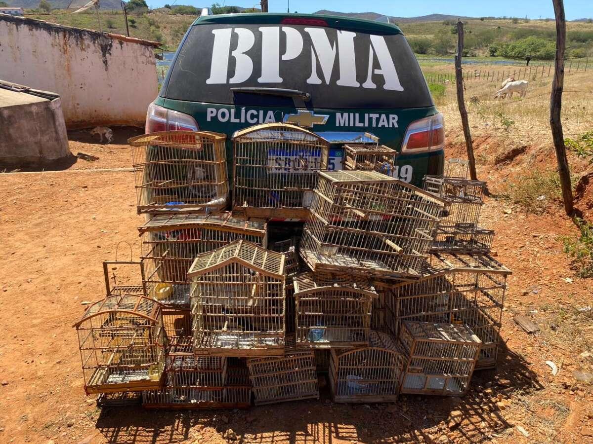 Após diálogo educativo com população, PMCE resgata 113 aves da fauna brasileira em Cariús