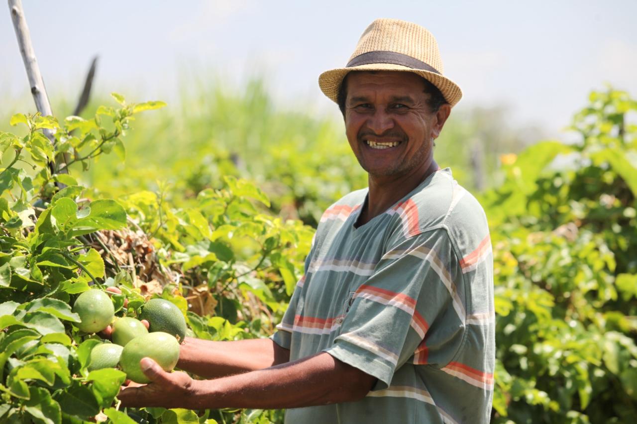 Agricultores familiares do Ceará devem realizar inscrições no Garantia Safra 2023/2024 até o fim deste ano