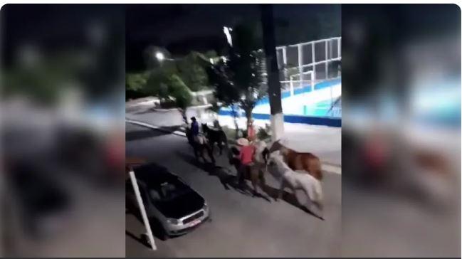 Cavalos furtados são recuperados pela polícia na Grande Fortaleza