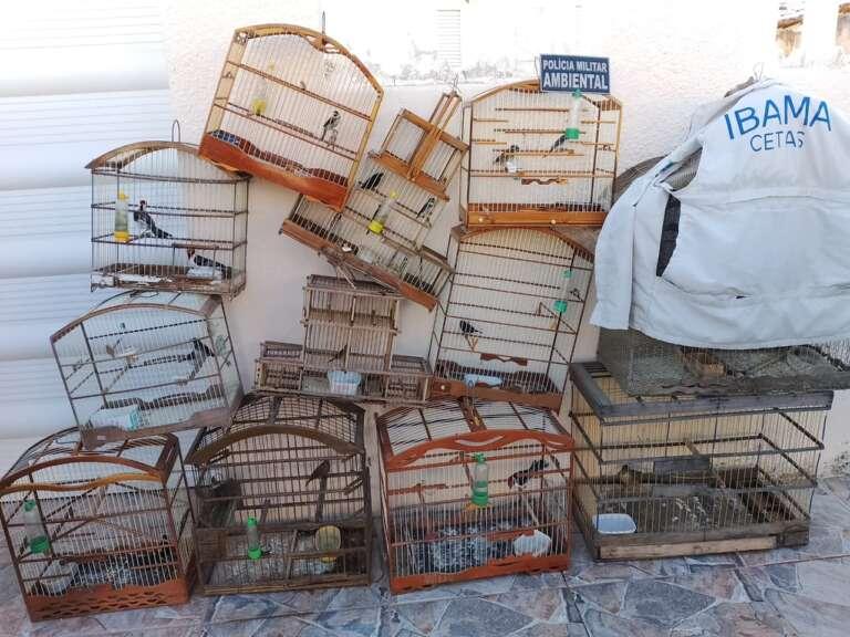 Durante ações em Cariús, PMCE captura dupla e apreende três armas e 24 animais silvestres