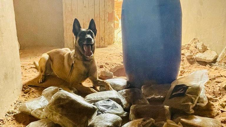 Com apoio de cão farejador, Policiais civis apreendem quase 10 kg de maconha em Juazeiro do Norte