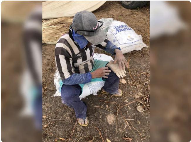 Sete pessoas são resgatadas de trabalho escravo em fazenda sem banheiro e sem dormitório em Pacujá, interior do Ceará