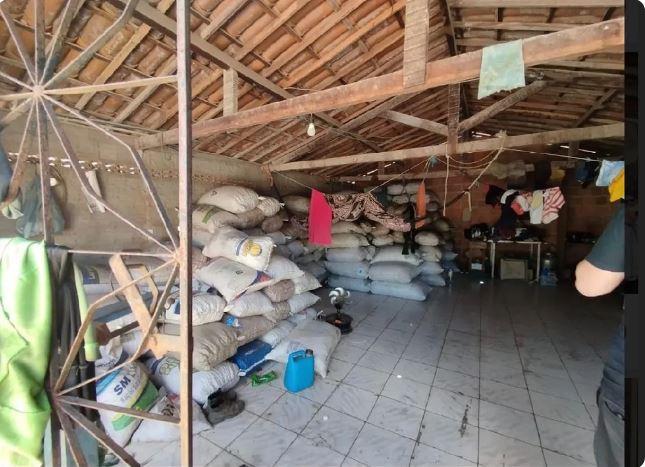 Trabalhadores da colheita de caju são resgatados de condição similar à escravidão em Beberibe no Ceará