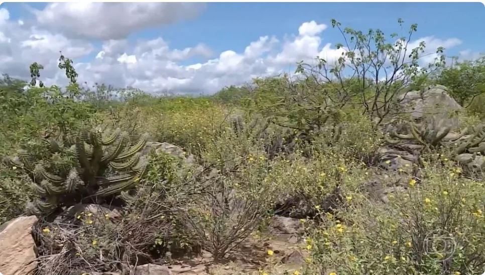 Número de dias com temperaturas próximas dos 40ºC no sertão de Pernambuco subiu, diz levantamento