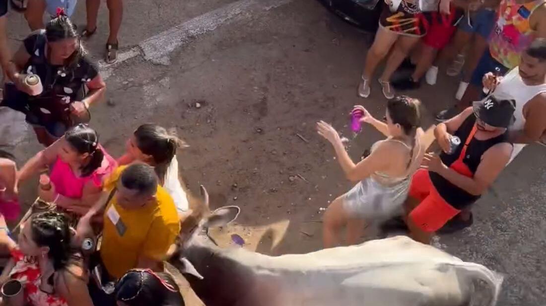 Vaca invade festa de Carnaval e deixa foliões feridos no Rio Grande do Norte