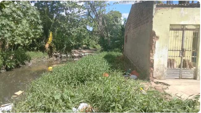Criança é mordida por jacaré quando brincava de bola perto de um riacho em Arapiraca, AL