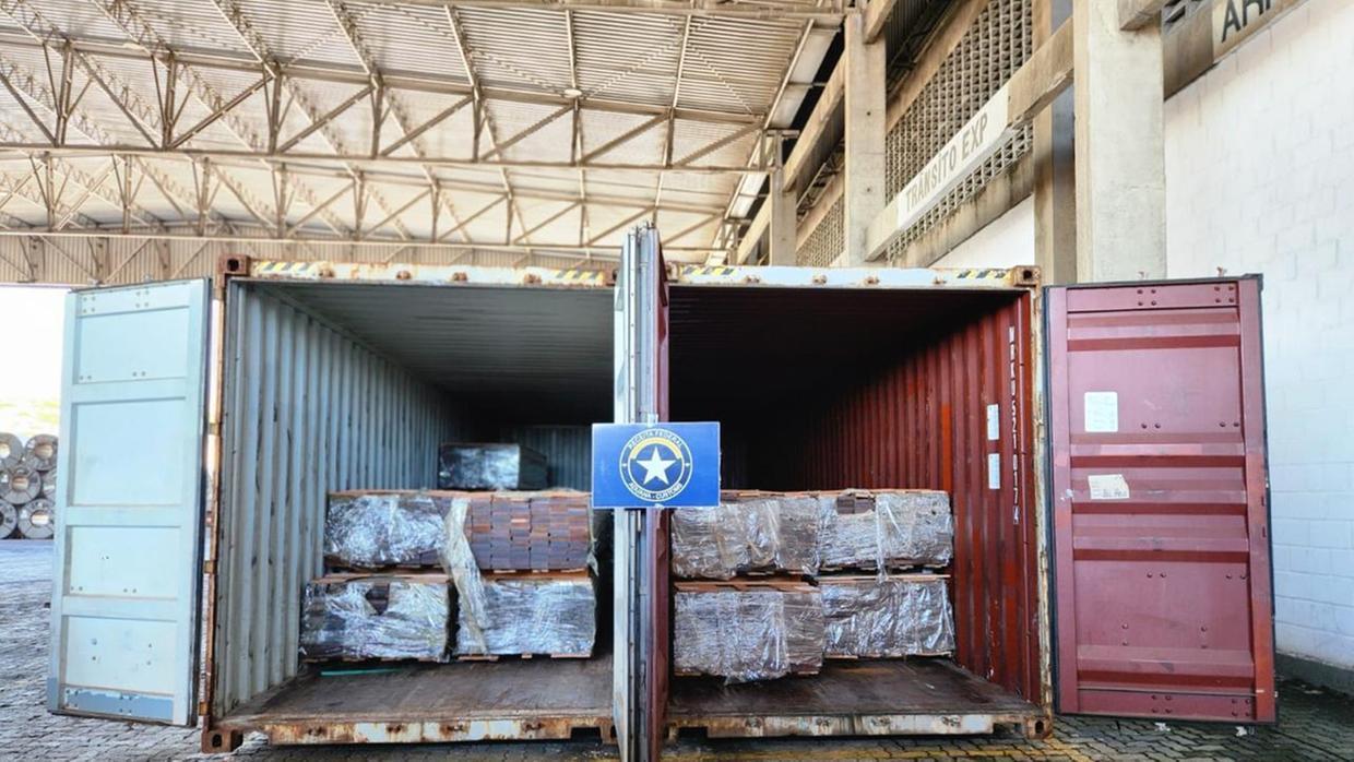 Receita apreende 51 mil kg de madeira ilegal no Porto do Pecém em Fortaleza antes de serem enviados aos EUA
