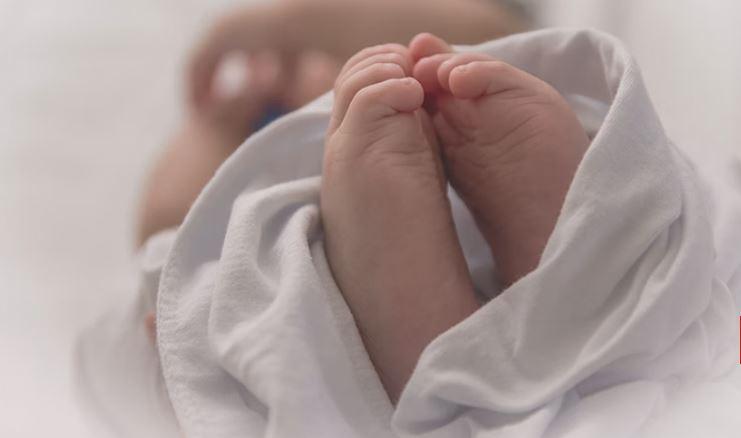 Bebê de cinco meses é deixada sozinha em casa e morre após ser atacada por cachorro em Goiás, diz polícia