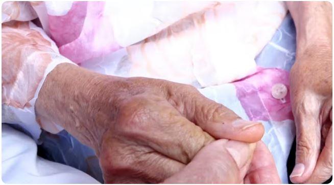 Grupo de empresários e servidores públicos é investigado por desviar R$ 16 mi de fundo para idosos em Fortaleza