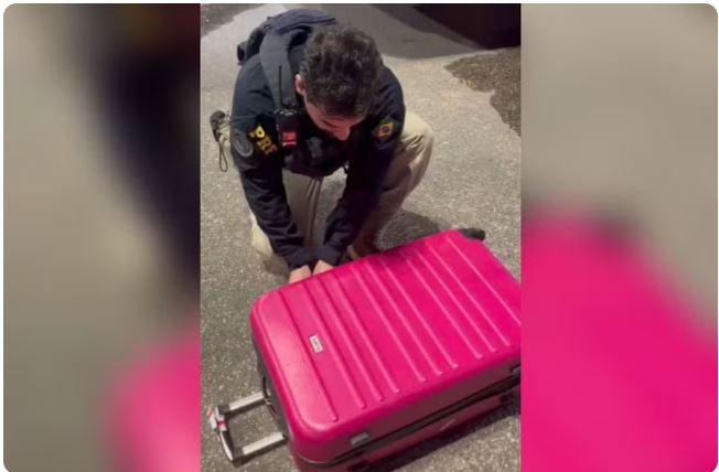 Mulher é presa transportando 6 kg de maconha em mala em ônibus intermunicipal no Ceará