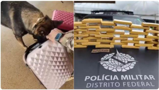 Cearense é presa em rodoviária em Brasília com cerca de 25 kg de drogas nas malas