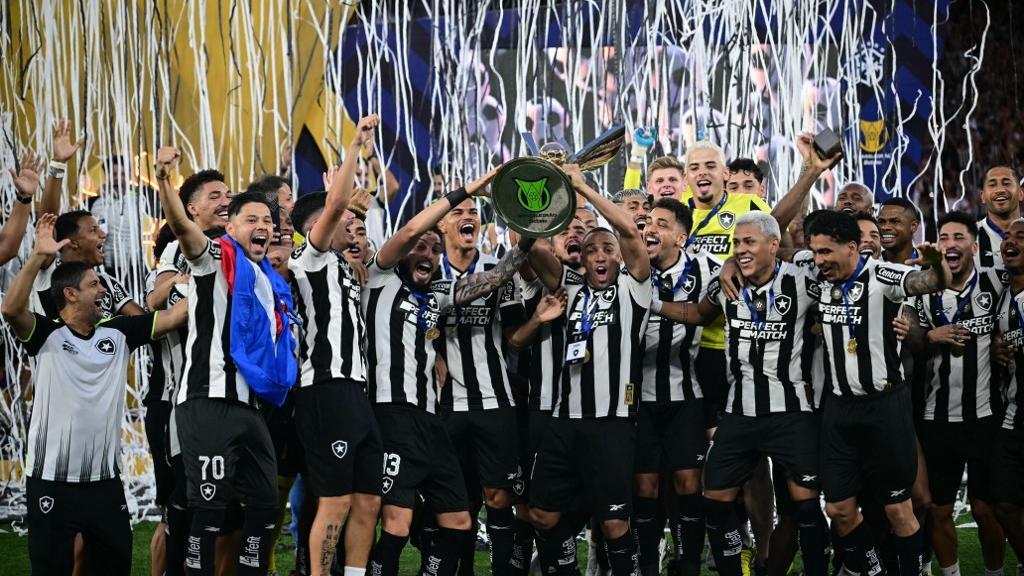 Depois de 29 anos Botafogo é campeão da Série A do Brasileiro