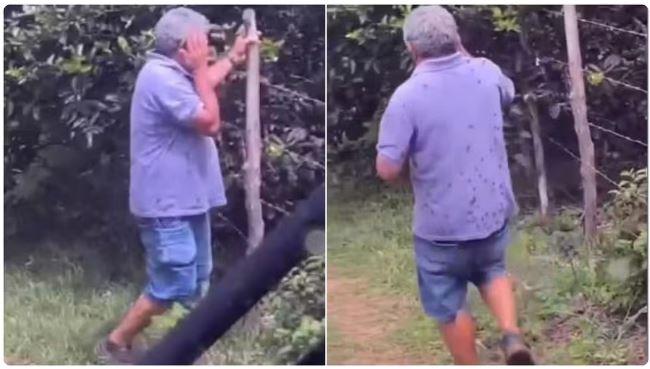 Ex-vereador morre após ser picado por abelhas em sítio de Tianguá, no Ceará