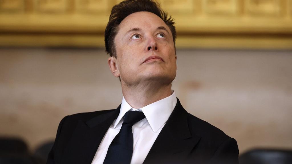 Idosa perde R$ 154 mil em empréstimos ao acreditar que se relacionava com Elon Musk, no DF
