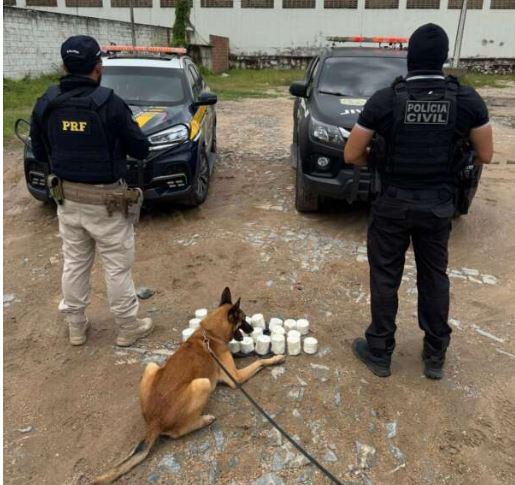 Polícia Civil e a PRF apreende mais de 8 kg de cocaína em Várzea Alegre, em um caminhão que seguia de Iguatu para Juazeiro do Norte no Ceará