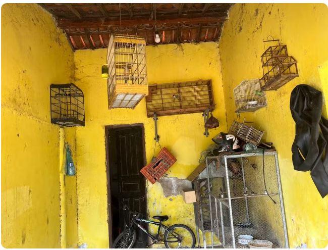 Polícia resgata 54 aves silvestres e apreende cinco armas em fazenda de Santa Quitéria no interior do Ceará