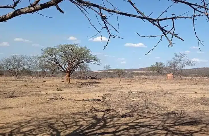 Próxima super seca deverá ser entre 2034/2035, prevê meteorologista