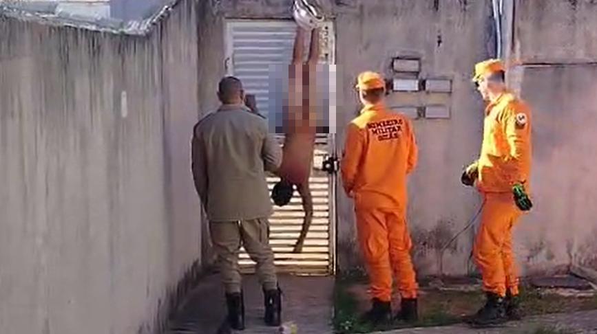 Homem fica nu e pendurado pelo calção ao tentar pular muro de condomínio em Goiás