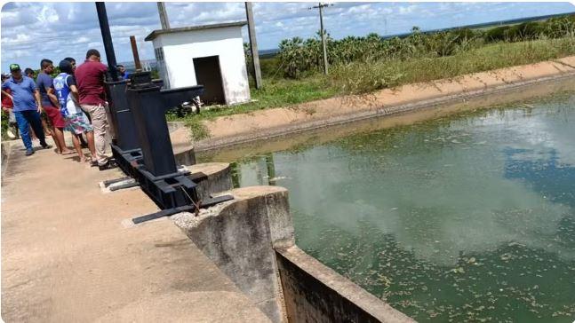 Homem morre após pular em canal para fugir de ataque de abelhas em Russas no Ceará