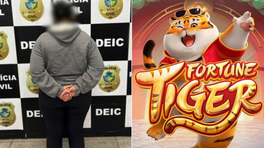 Diarista furta R$ 500 mil para apostar no Tigrinho