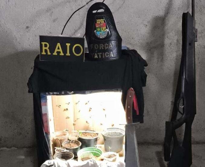 PMCE encontra estufa de maconha e apreende 3,1 kg do mesmo entorpecente em Iguatu