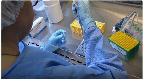 Nova variante do coronavírus, XFG é identificada pela primeira vez no Ceará; veja como se prevenir