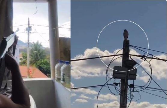 Homem é filmado matando pássaro com arma de pressão e polícia do Ceará investiga caso em Monsenhor Tabosa