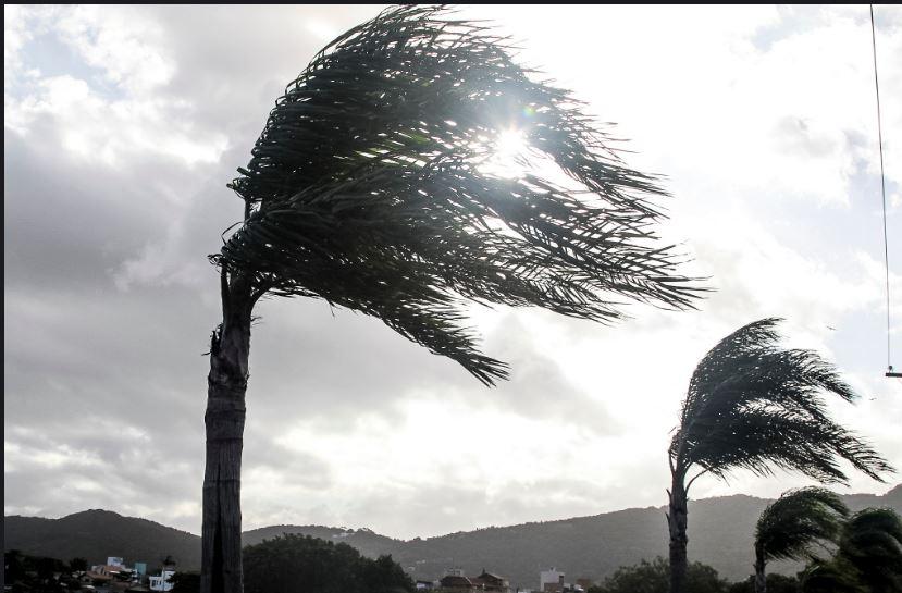 Iguatu, Acopiara, Cariús, Jucás e outras cidades cearenses recebem aviso de 'perigo potencial' por vendaval nesta quinta (21)