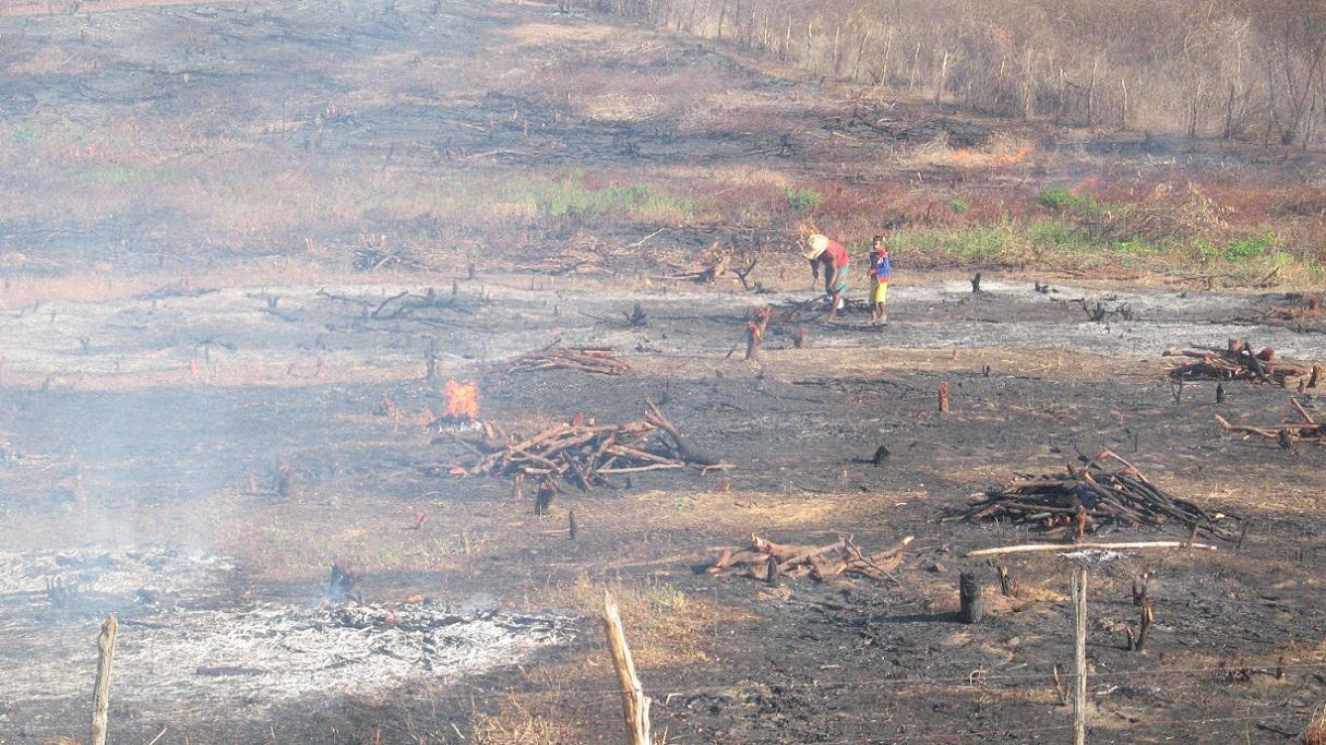 Incêndios deixam ‘cicatrizes’ gigantes no solo de cidades do CE; veja locais