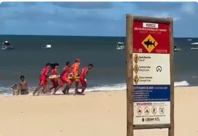 Criança é mordida por tubarão na Praia de Piedade, em Jaboatão dos Guararapes, no Grande Recife