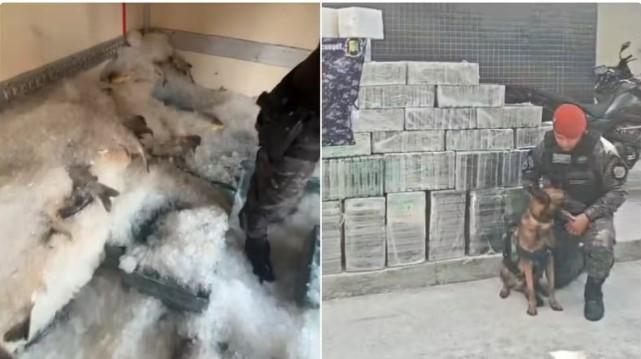 Operação apreende mais de 1 tonelada de cocaína escondida em carga de peixes no Ceará